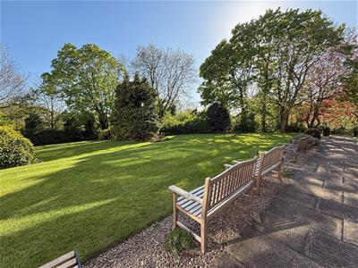 Picture 30